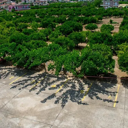 Daire ακτη ξοβριοσ *